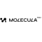 Molecula